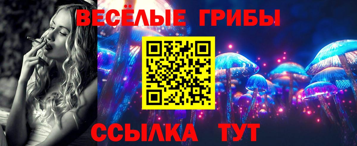 Елец  Галлюциногенные грибы Psilocybe  Вход с VPN 